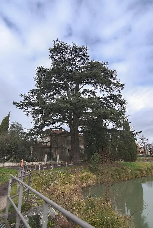 Le Splendid Pour Decouvrir La Ville Rose Apartment